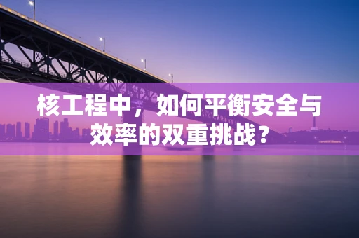 核工程中，如何平衡安全与效率的双重挑战？