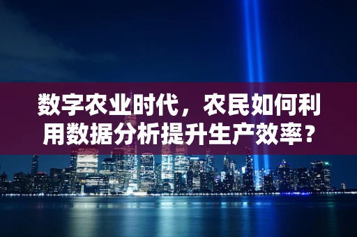 数字农业时代，农民如何利用数据分析提升生产效率？