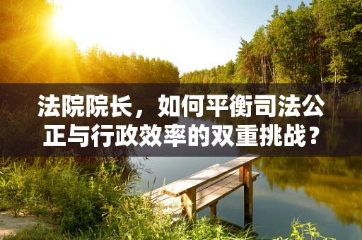 法院院长，如何平衡司法公正与行政效率的双重挑战？