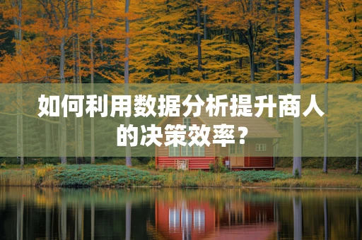 如何利用数据分析提升商人的决策效率？