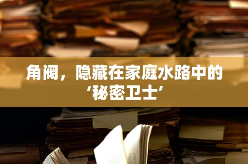 角阀，隐藏在家庭水路中的‘秘密卫士’