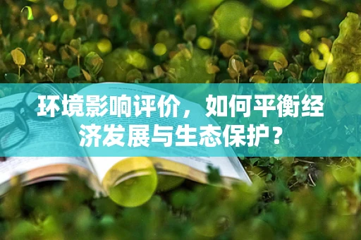 环境影响评价，如何平衡经济发展与生态保护？