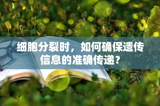 细胞分裂时，如何确保遗传信息的准确传递？