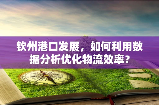 钦州港口发展，如何利用数据分析优化物流效率？