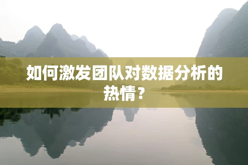 如何激发团队对数据分析的热情？