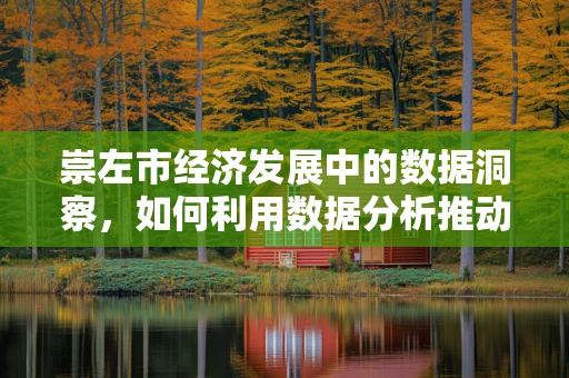 崇左市经济发展中的数据洞察，如何利用数据分析推动地方经济增长？