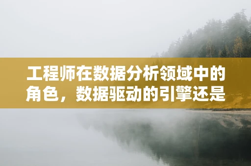 工程师在数据分析领域中的角色，数据驱动的引擎还是创新的瓶颈？