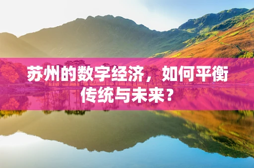 苏州的数字经济，如何平衡传统与未来？