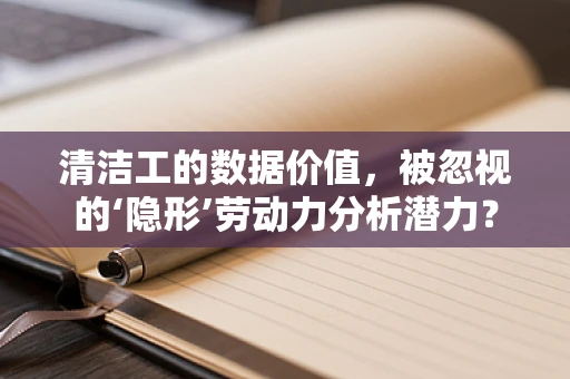 清洁工的数据价值，被忽视的‘隐形’劳动力分析潜力？