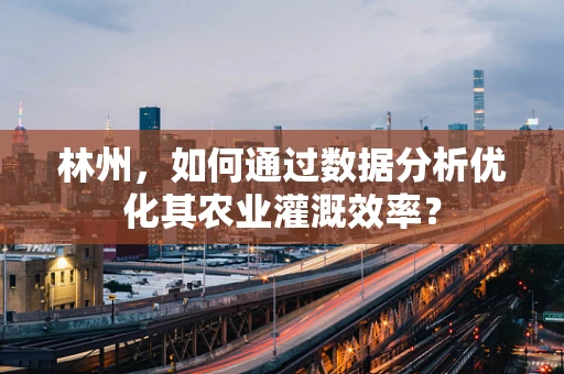 林州，如何通过数据分析优化其农业灌溉效率？