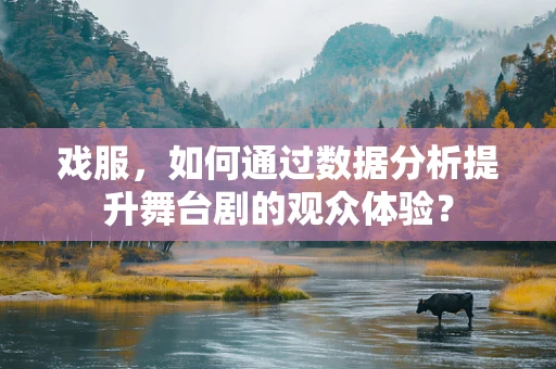 戏服，如何通过数据分析提升舞台剧的观众体验？