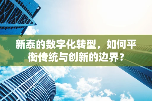 新泰的数字化转型，如何平衡传统与创新的边界？