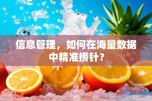 信息管理，如何在海量数据中精准捞针？