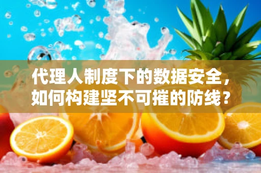 代理人制度下的数据安全，如何构建坚不可摧的防线？