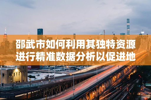 邵武市如何利用其独特资源进行精准数据分析以促进地方经济发展？