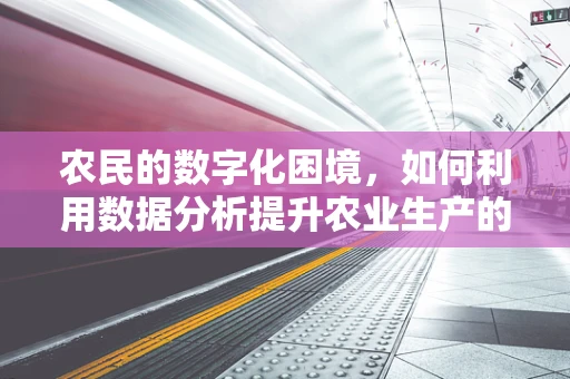 农民的数字化困境，如何利用数据分析提升农业生产的精准性？