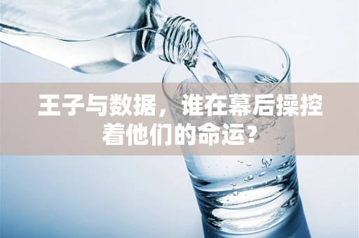 王子与数据，谁在幕后操控着他们的命运？