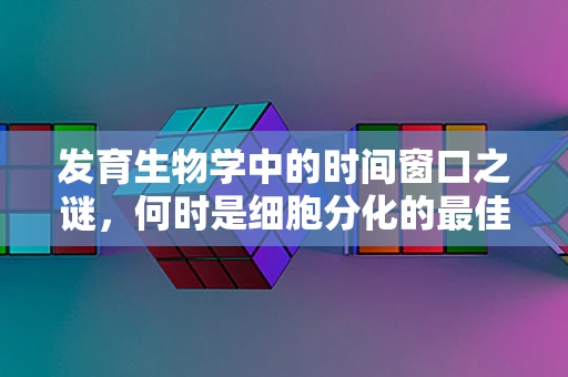 发育生物学中的时间窗口之谜，何时是细胞分化的最佳时机？