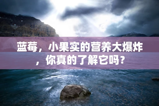 蓝莓，小果实的营养大爆炸，你真的了解它吗？