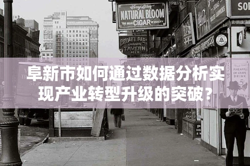 阜新市如何通过数据分析实现产业转型升级的突破？