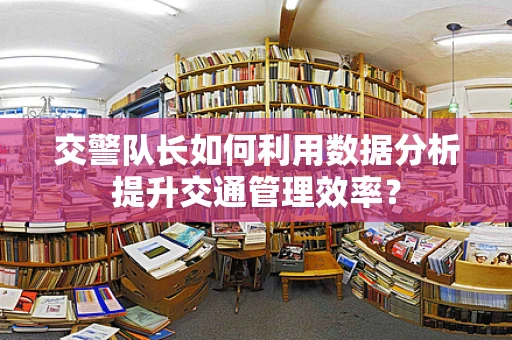 交警队长如何利用数据分析提升交通管理效率？