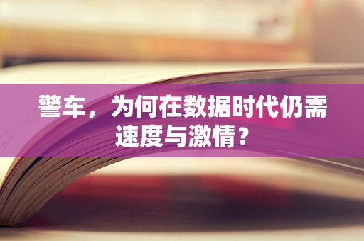 警车，为何在数据时代仍需速度与激情？