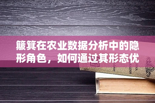 簸箕在农业数据分析中的隐形角色，如何通过其形态优化作物收获效率？