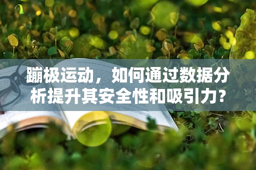 蹦极运动，如何通过数据分析提升其安全性和吸引力？