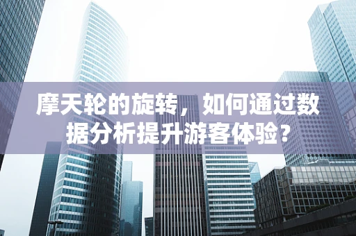 摩天轮的旋转，如何通过数据分析提升游客体验？