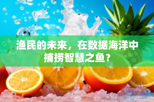 渔民的未来，在数据海洋中捕捞智慧之鱼？