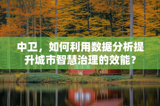 中卫，如何利用数据分析提升城市智慧治理的效能？