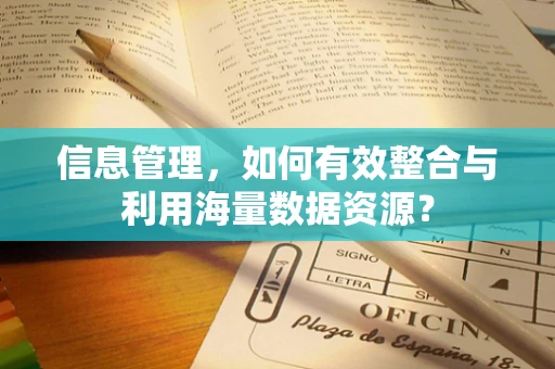 信息管理，如何有效整合与利用海量数据资源？