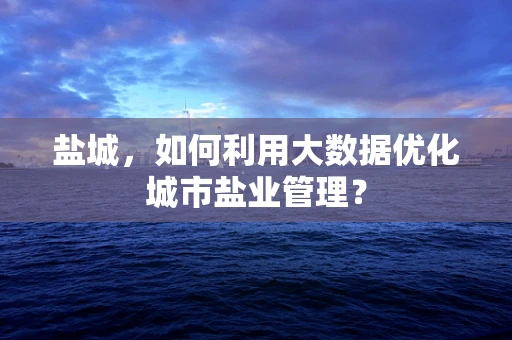 盐城，如何利用大数据优化城市盐业管理？