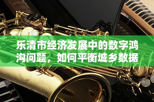 乐清市经济发展中的数字鸿沟问题，如何平衡城乡数据资源？