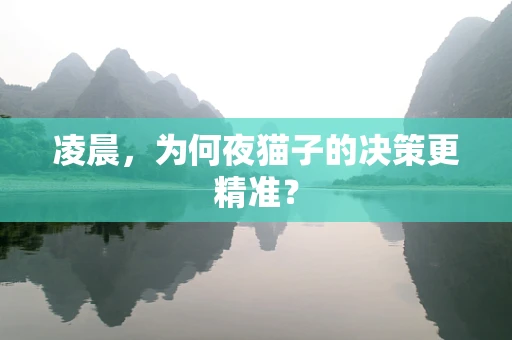 凌晨，为何夜猫子的决策更精准？