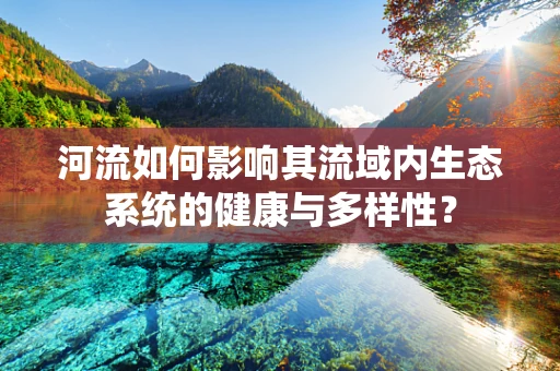 河流如何影响其流域内生态系统的健康与多样性？