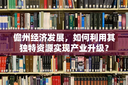 儋州经济发展，如何利用其独特资源实现产业升级？