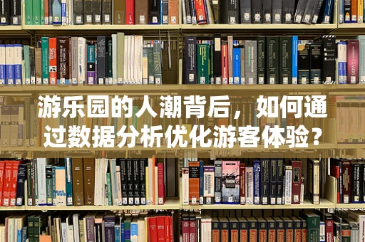 游乐园的人潮背后，如何通过数据分析优化游客体验？