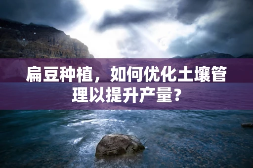 扁豆种植，如何优化土壤管理以提升产量？