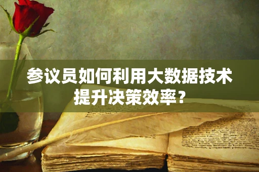 参议员如何利用大数据技术提升决策效率？