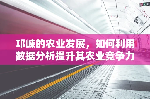 邛崃的农业发展，如何利用数据分析提升其农业竞争力？