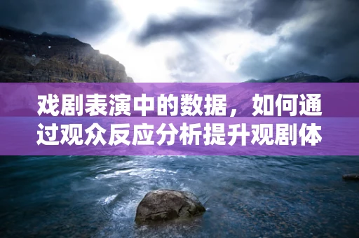 戏剧表演中的数据，如何通过观众反应分析提升观剧体验？