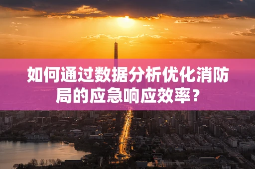 如何通过数据分析优化消防局的应急响应效率？